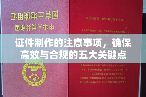 望奎证件制作的注意事项，确保高效与合规的五大关键点