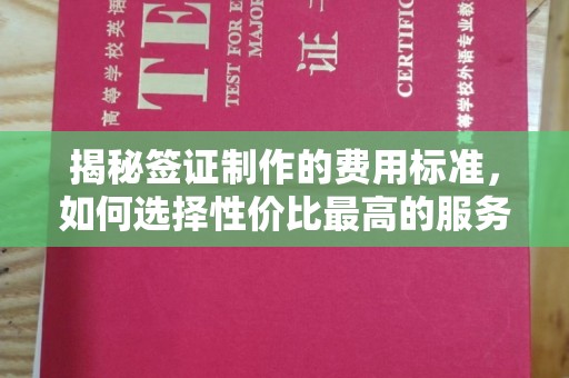 望奎揭秘签证制作的费用标准，如何选择性价比最高的服务？