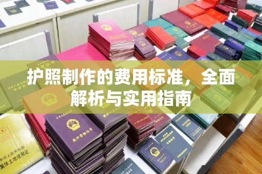 望奎护照制作的费用标准，全面解析与实用指南