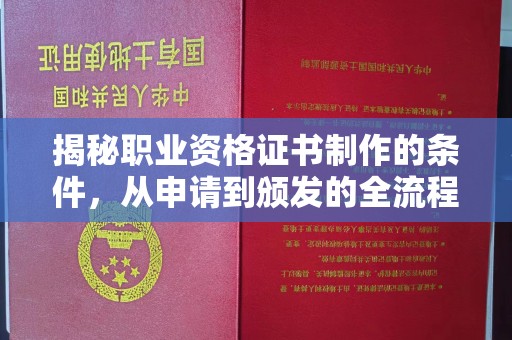 望奎揭秘职业资格证书制作的条件，从申请到颁发的全流程解析