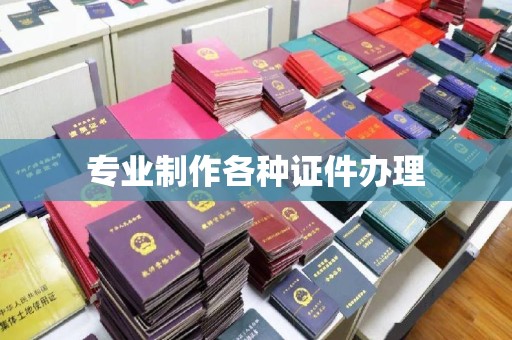 望奎专业制作各种证件办理