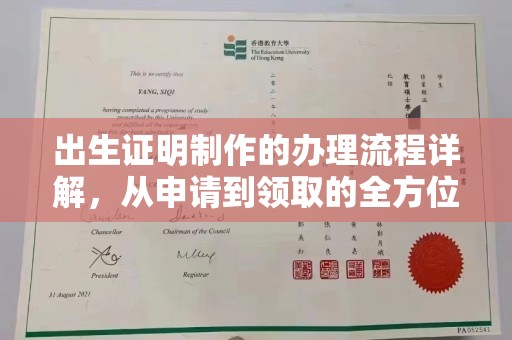 望奎出生证明制作的办理流程详解，从申请到领取的全方位指南