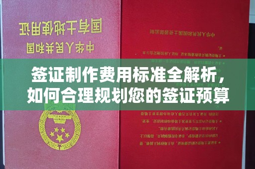望奎签证制作费用标准全解析，如何合理规划您的签证预算？