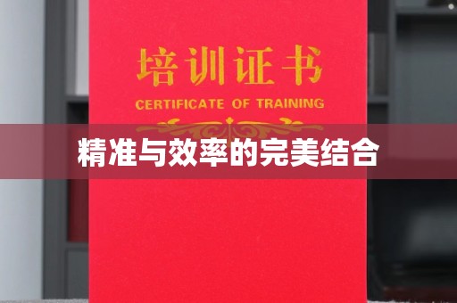 望奎精准与效率的完美结合